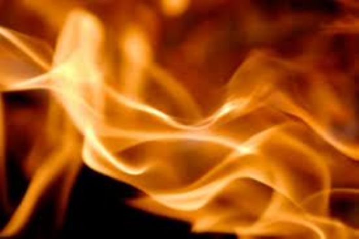 Combustible Alterno 